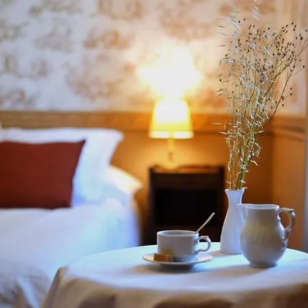Chateau De La Rochetiere 4*