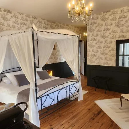 Chateau De La Rochetiere 4*