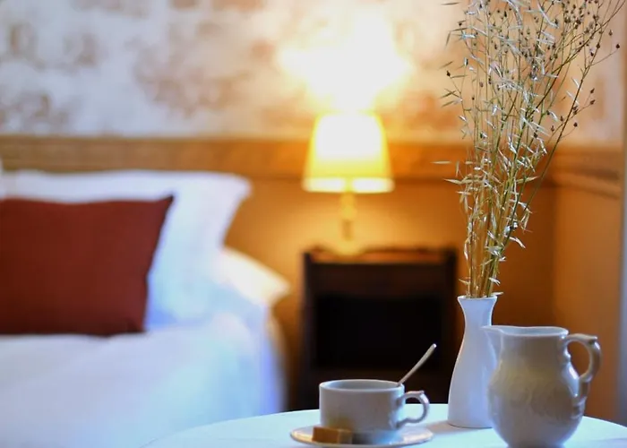 Chateau De La Rochetiere 4*